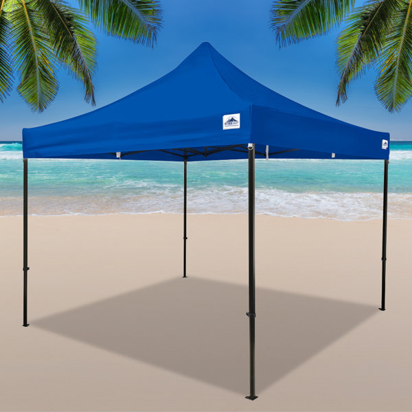 Heavy duty canopy on sale 10x10